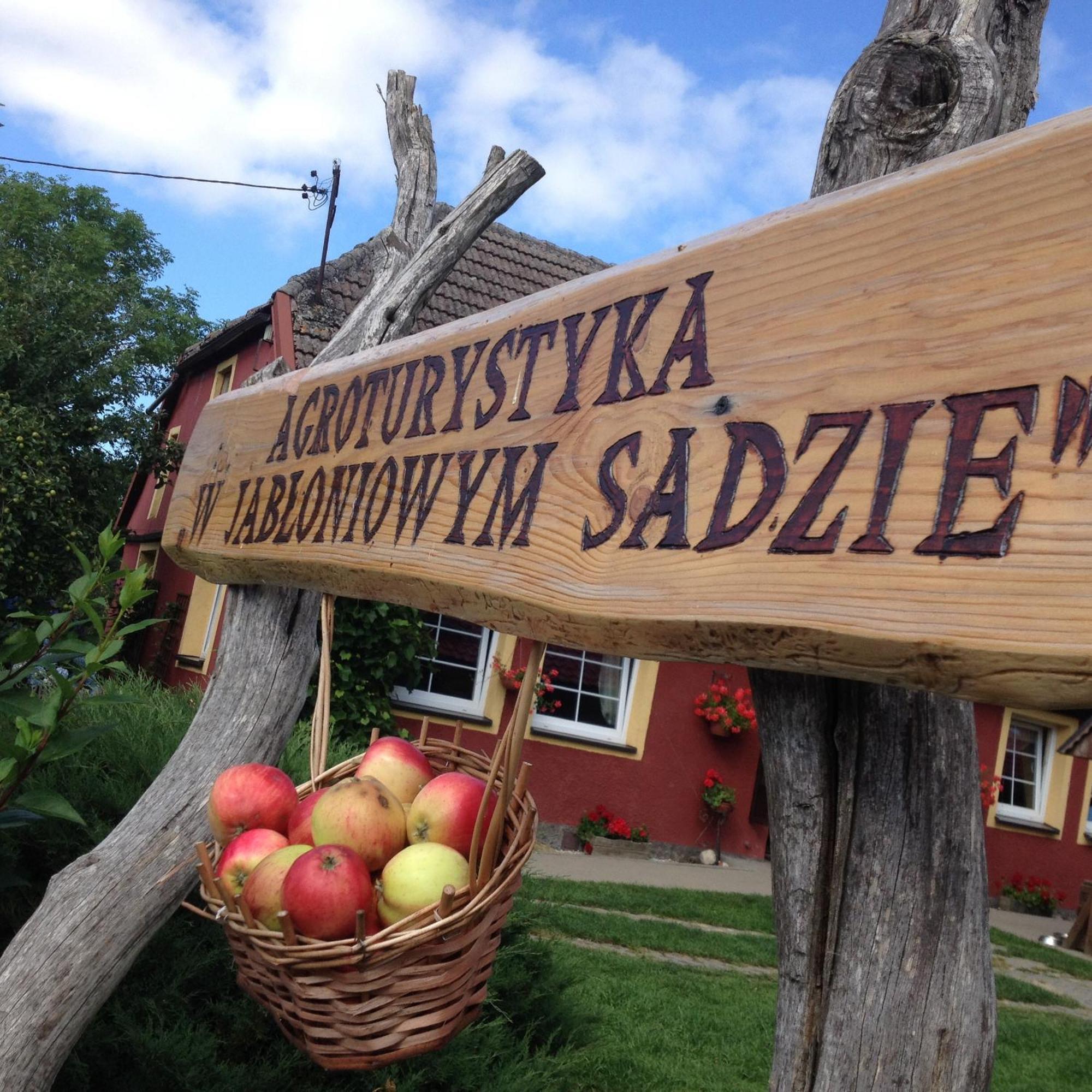 W Jabloniowym Sadzie Jezyce
